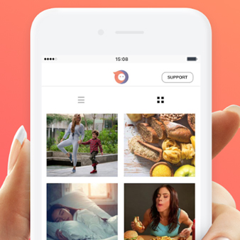 Our Portfolio